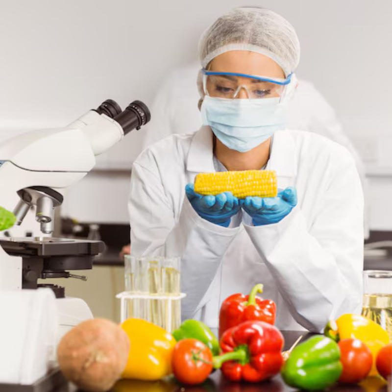 iso 22000 food safety management system iso 22000 food safety management system