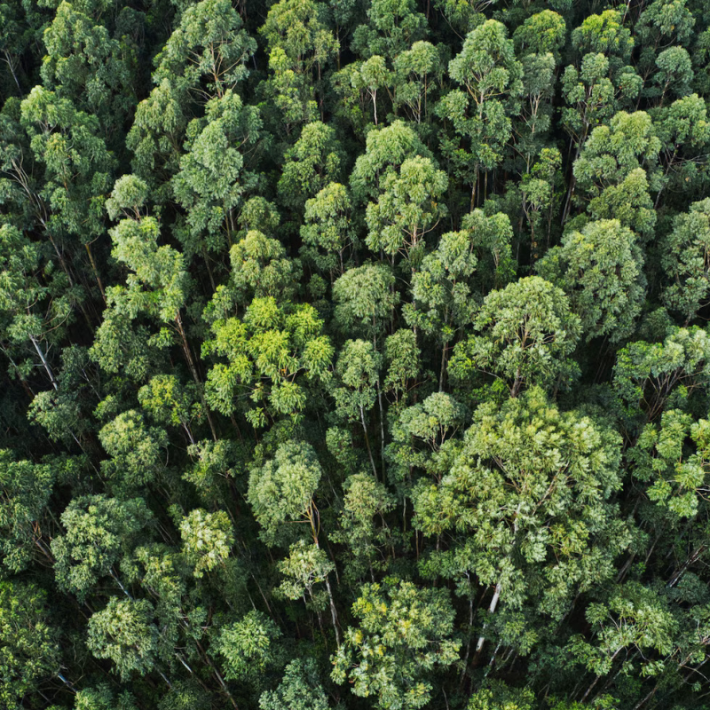 iso 14001 environmental management system iso 14001 environmental management system