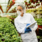 food certification