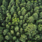 iso 14001 environmental management system