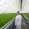 iso 14001 environmental management system