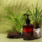 organic cosmetic certificate