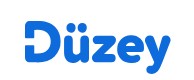 Düzey